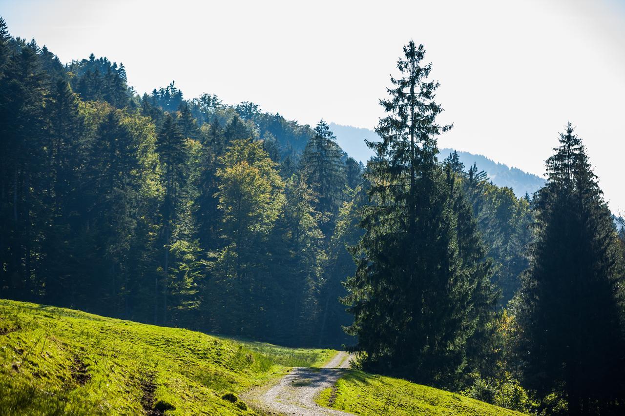 Hotel Bad Rain Mit Oberstaufen Plusgolf Екстер'єр фото
