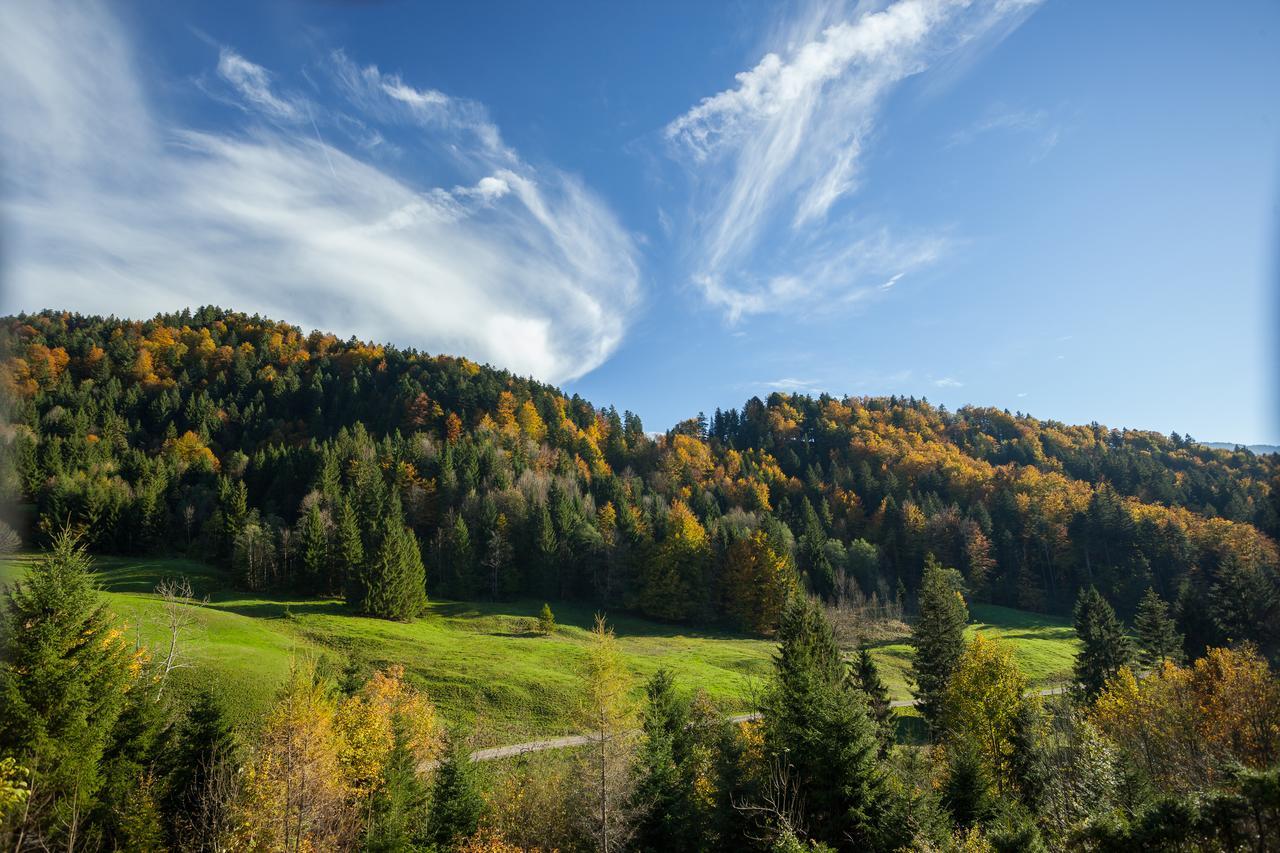Hotel Bad Rain Mit Oberstaufen Plusgolf Екстер'єр фото